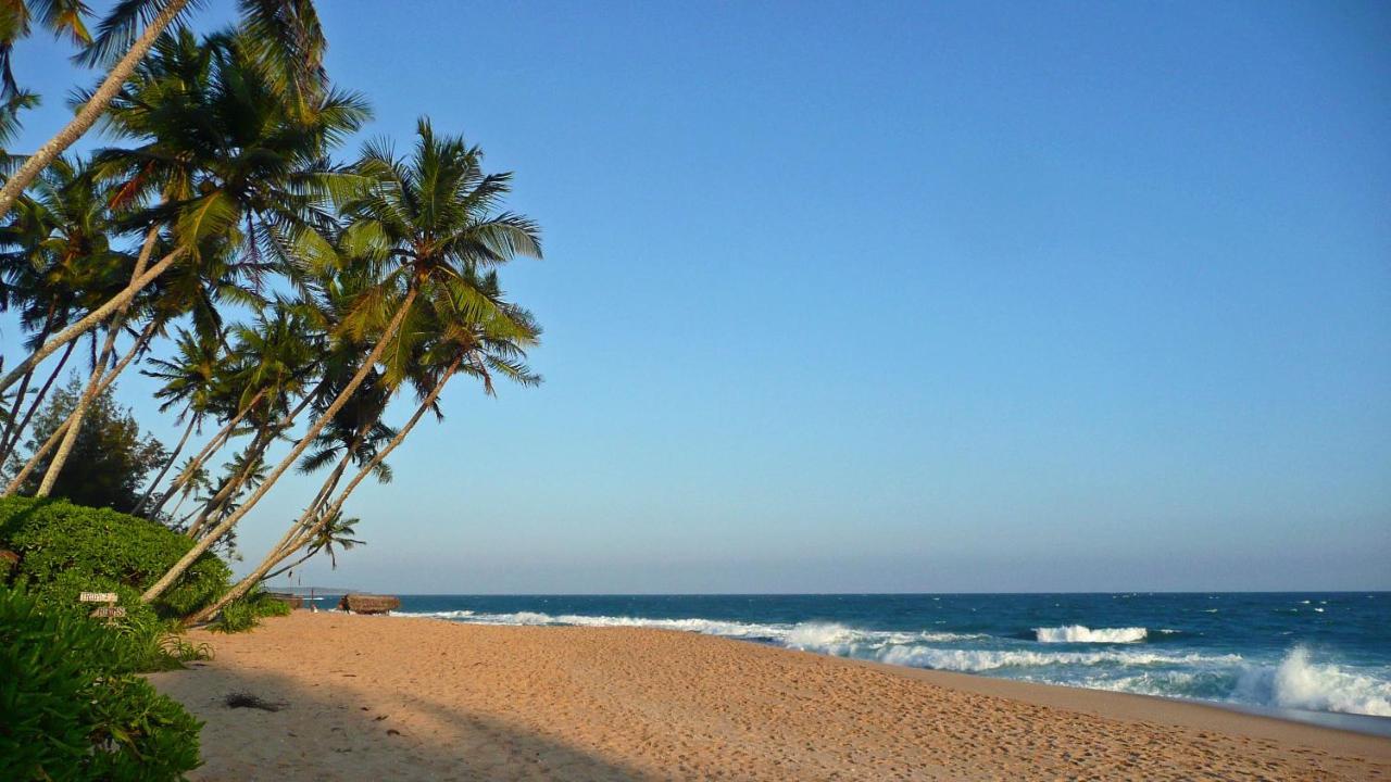 Tropical Garden Daire Tangalle Dış mekan fotoğraf