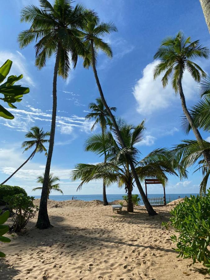 Tropical Garden Daire Tangalle Dış mekan fotoğraf