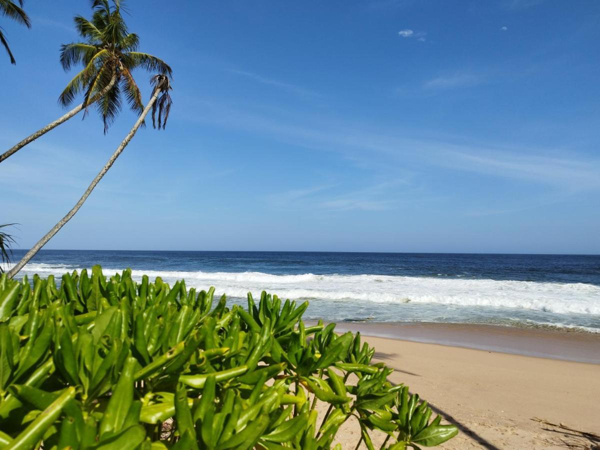 Tropical Garden Daire Tangalle Dış mekan fotoğraf