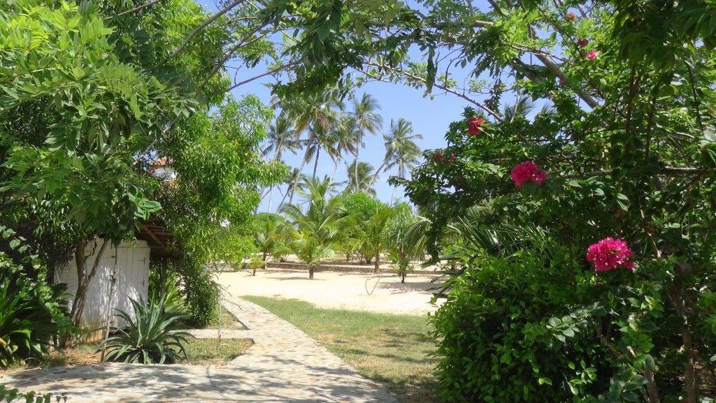 Tropical Garden Daire Tangalle Oda fotoğraf